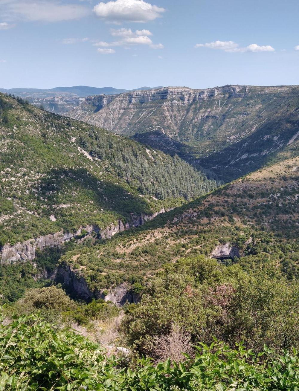 Reve De Causse Bed & Breakfast Saint-Michel-d'Alajou Екстериор снимка